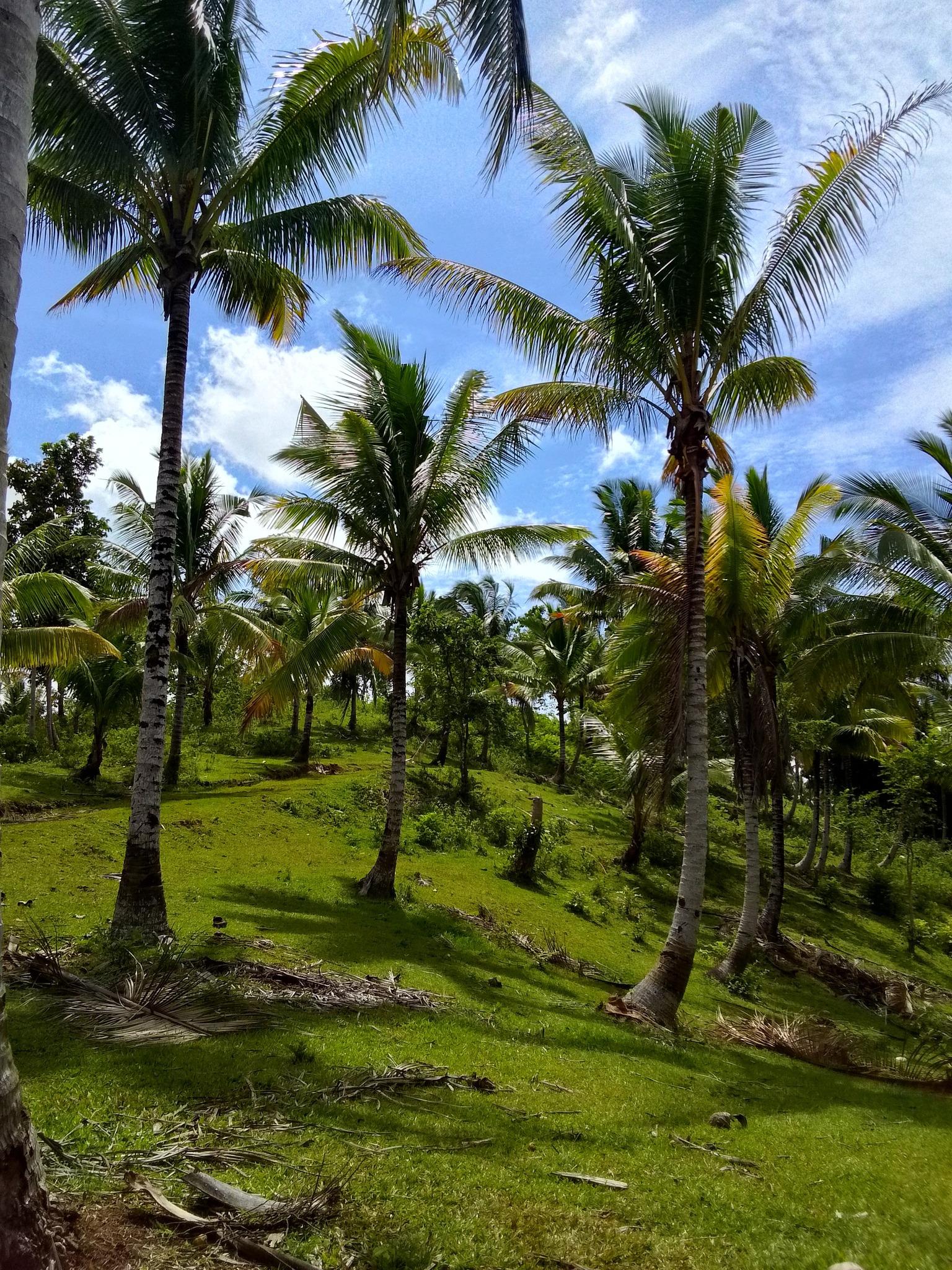 Yohanzville Tubigon Phase 2