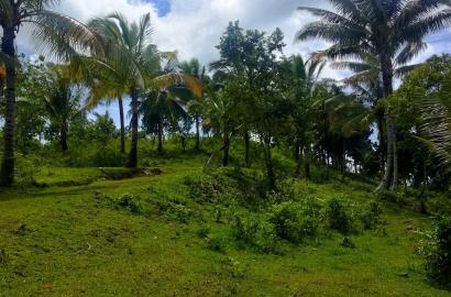 Yohanzville Tubigon Phase 2