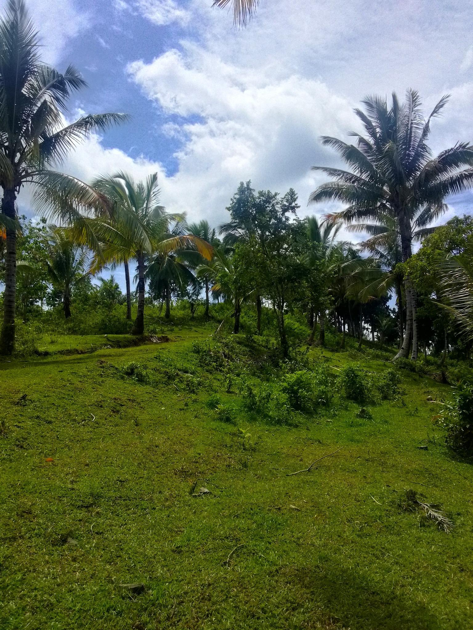 Yohanzville Tubigon Phase 2